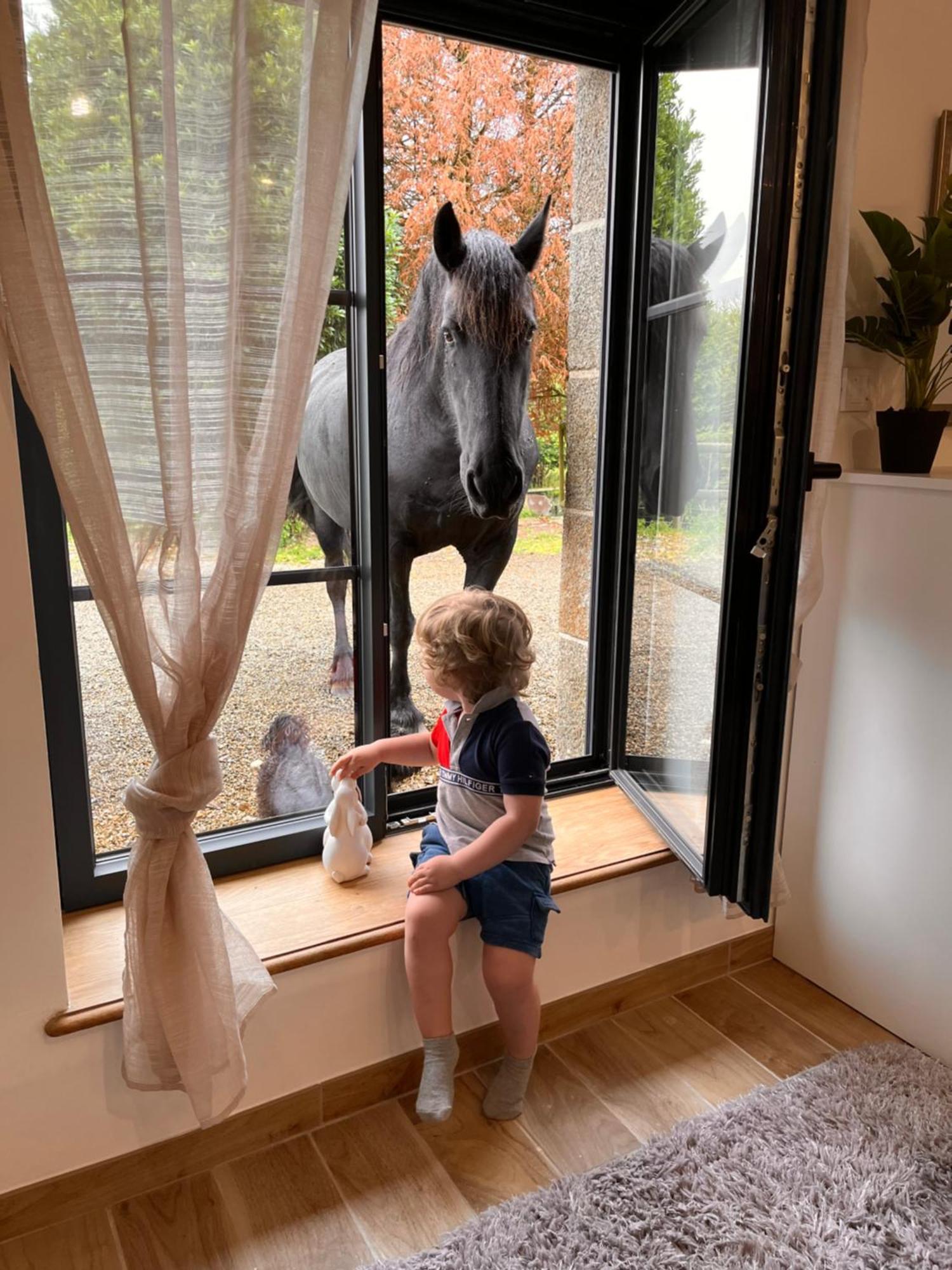 Madelaine Ranch, Nouvelle Piscine 2025 Vila Le Gast Exterior foto